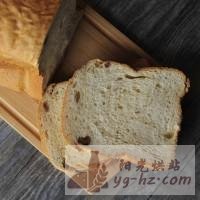 面包机版核桃土司的做法图解4