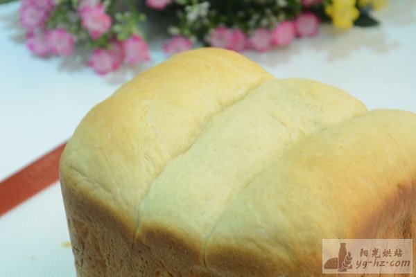 面包机做面包的方法（中种北海道吐司）的做法