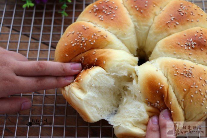 手把手教你做面包——基础圆面包