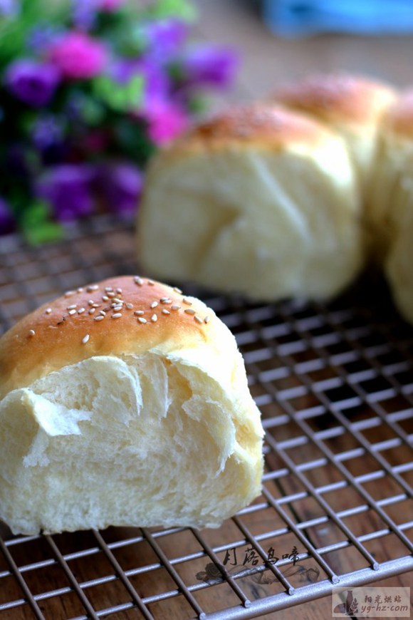 手把手教你做面包——基础圆面包