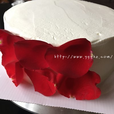 浪漫玫瑰花瓣蛋糕的做法 步骤10