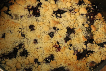 蓝莓酥粒小方块Blueberry Crumber Bars的做法 步骤6