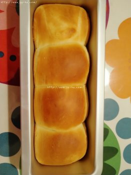 烤箱简单面包(第一次做