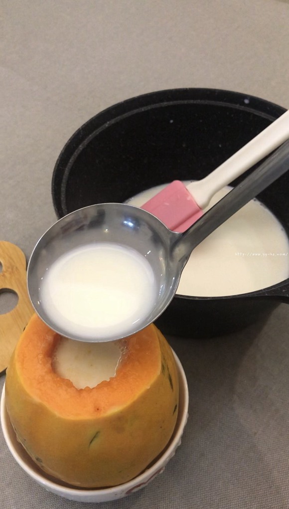 简单好吃的木瓜奶冻的做法 步骤4