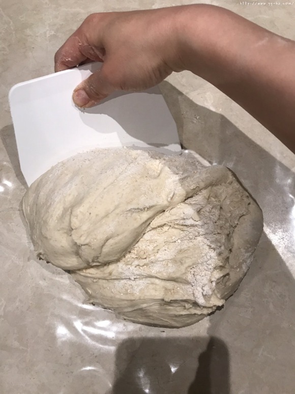 和牛奶面包一样柔软的【全麦欧式面包】的做法 步骤6