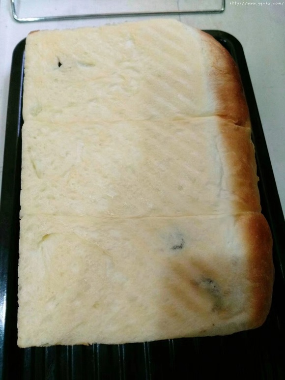 黄油浓稠酸奶面包的做法 步骤11