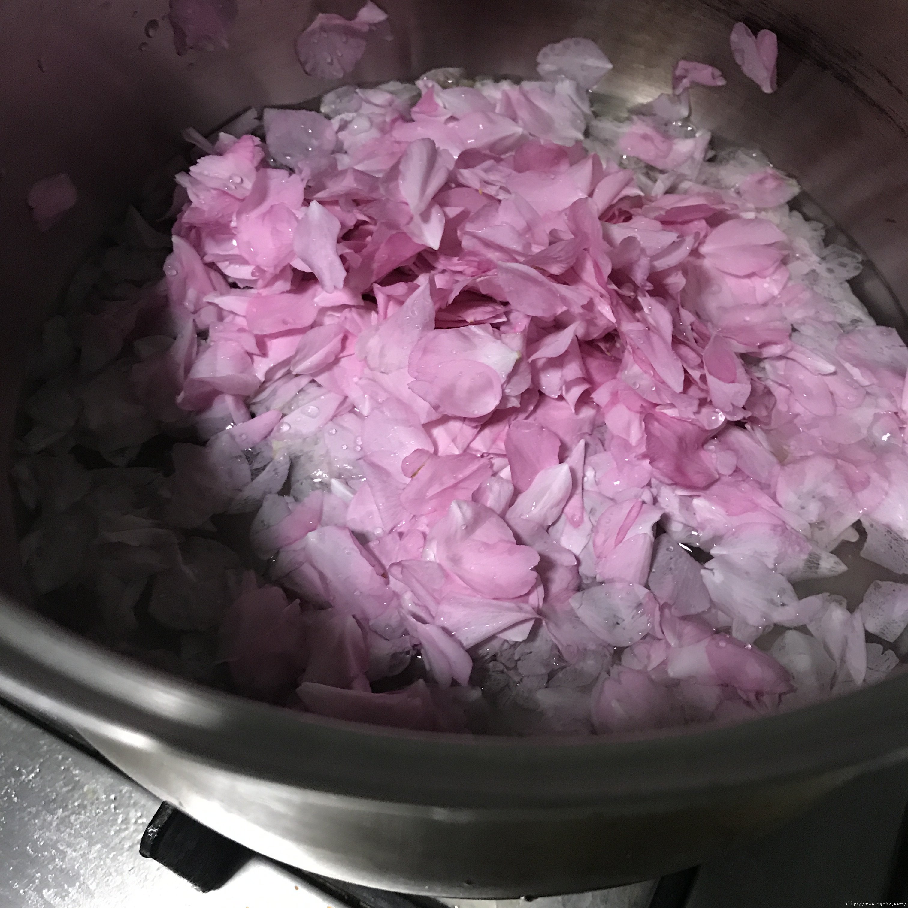 盐渍樱花/盐渍樱叶/樱花酱日式做法的做法 步骤24