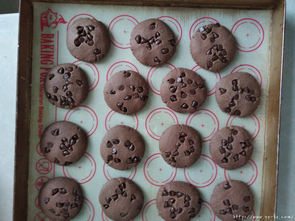 巧克力曲奇饼干的做法 步骤12