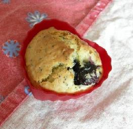 蓝莓罌粟籽麦芬blueberry and poppy seeds muffins
