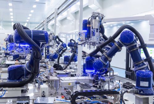 Various Cupcakes Designs