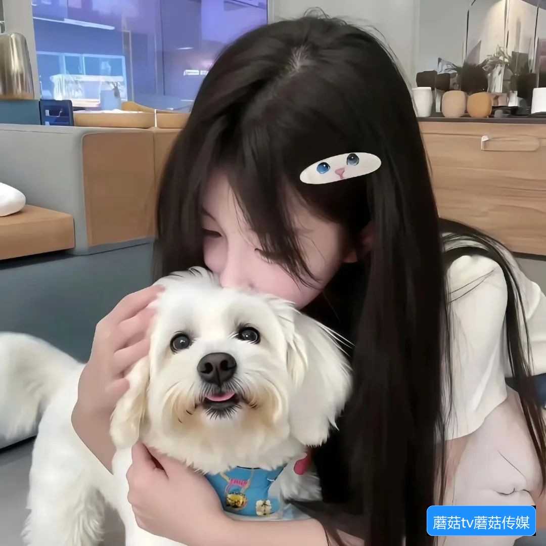 蘑菇TV官网怎么下载在线观看内容的方法与常见问题解答