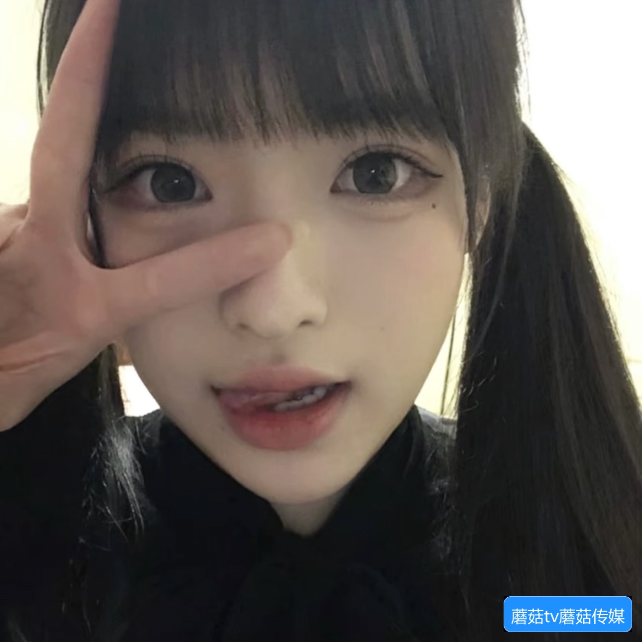 蘑菇tv传媒视频怎么下载？有哪些常见的观看和使用方法