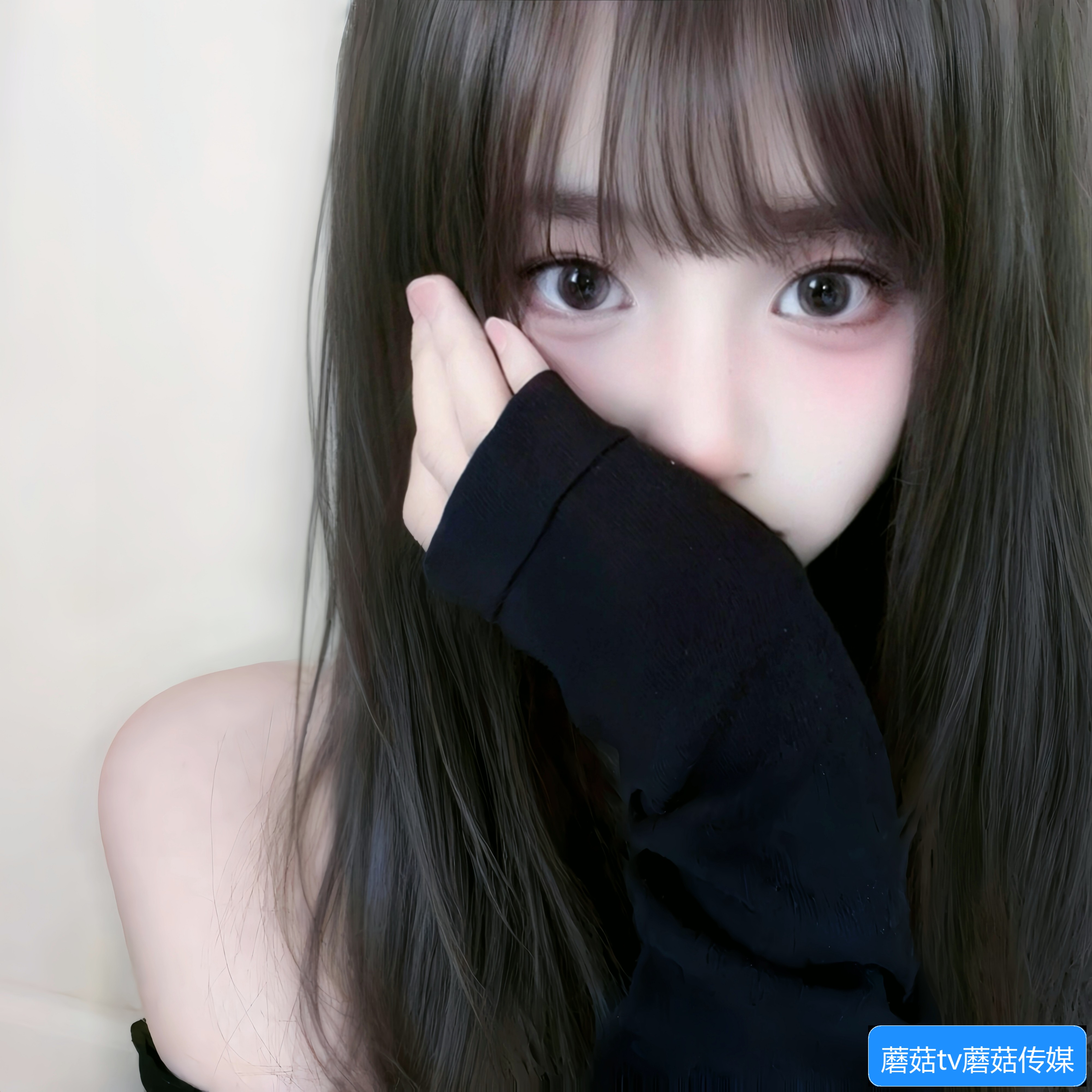 蘑菇TV传媒是什么，它的主要业务和发展方向有哪些