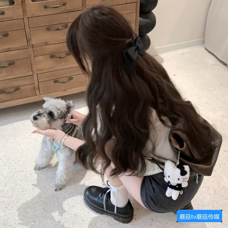 蘑菇TV官网有哪些功能以及如何注册使用指南