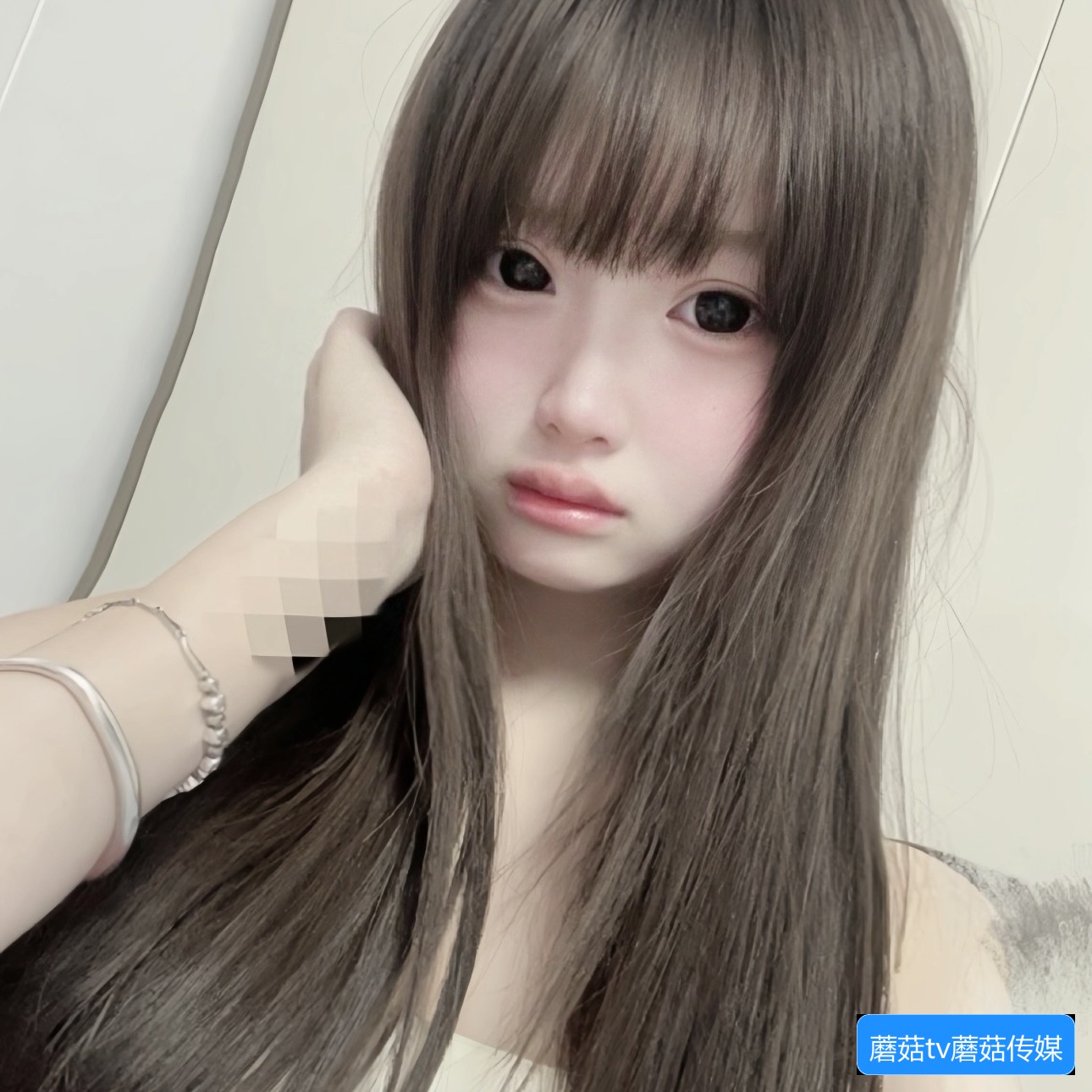 蘑菇TV传媒界面