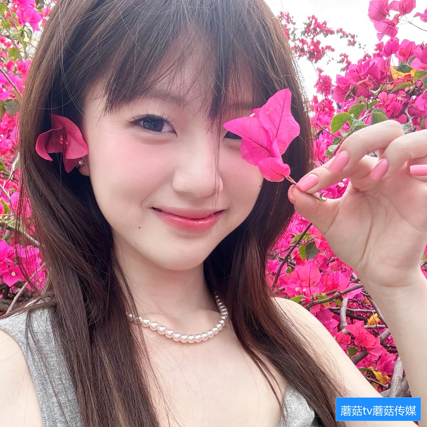 蘑菇TV网页登录后为何会跳转到其他网页怎么办